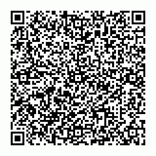 vCard 74993710303