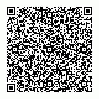 vCard 74993711129