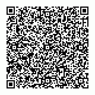 vCard 74993713539