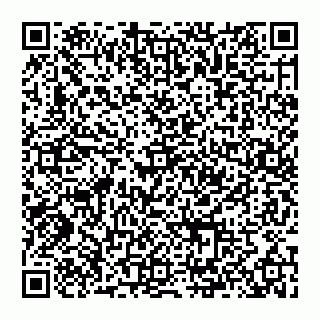 vCard 74993843304