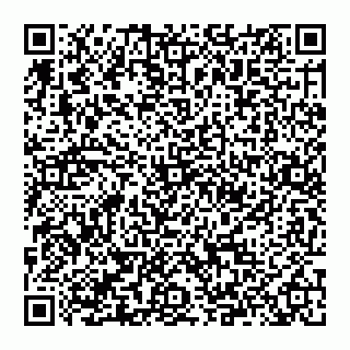 vCard 74995013508