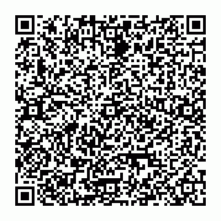 vCard 74999400520