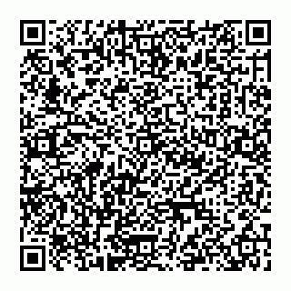 vCard 74999403239