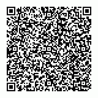 vCard 74999629379