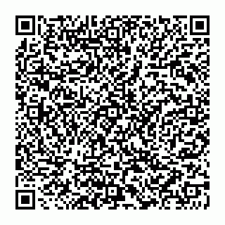 vCard 74999629380