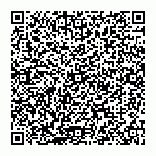 vCard 74999629387