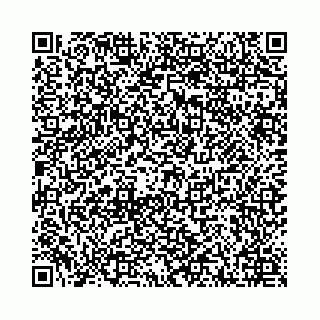 vCard 78001000088