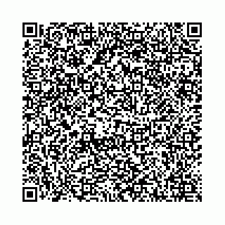 vCard 78001000594