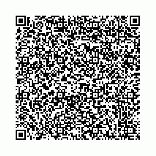 vCard 78001001539