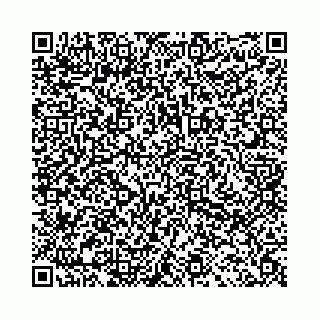 vCard 78001001941