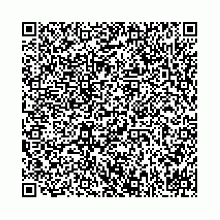vCard 78001001981