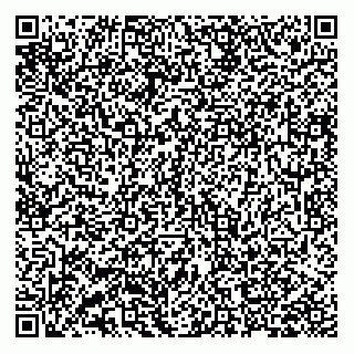 vCard 78001006133