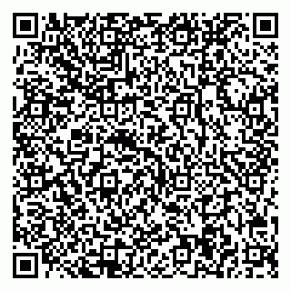vCard 78002004040