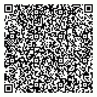 vCard 78003003881