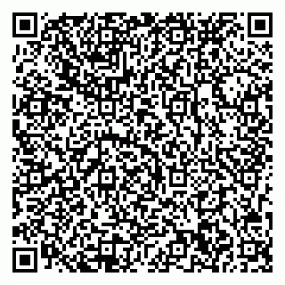 vCard 78003330140