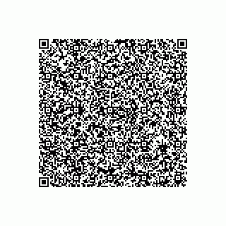vCard 78003333780