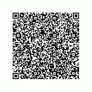 vCard 78004002011