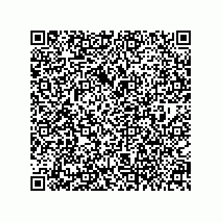 vCard 78004006300