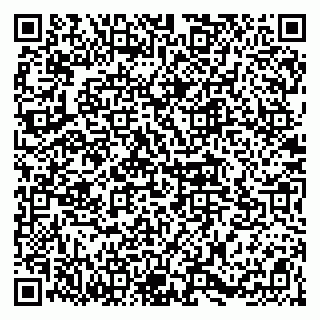 vCard 78004500011