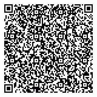 vCard 78005000804
