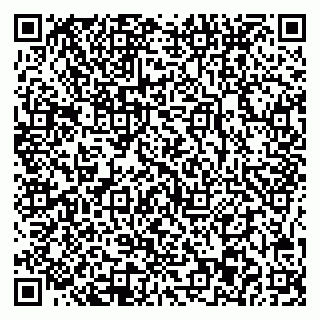 vCard 78005003300