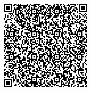 vCard 78005500031