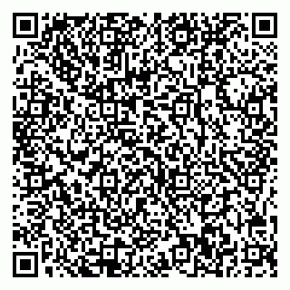 vCard 78005500041