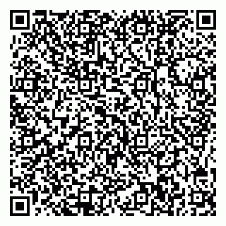vCard 78005500081
