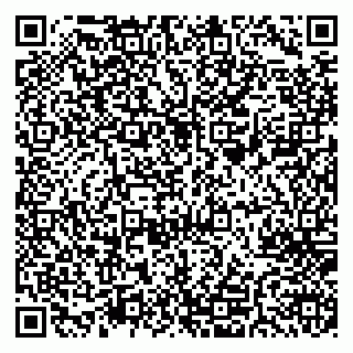 vCard 78005500100