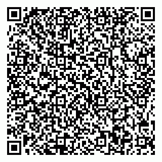 vCard 78005500129