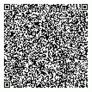vCard 78005500132