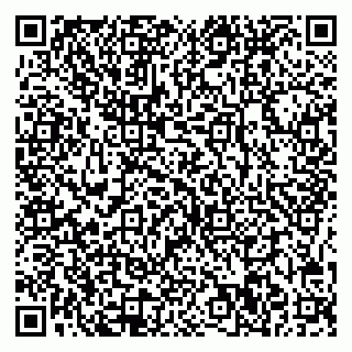 vCard 78005500133