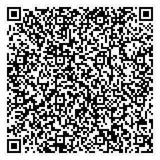 vCard 78005500167