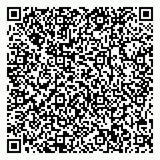 vCard 78005500173