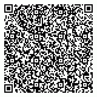 vCard 78005500219