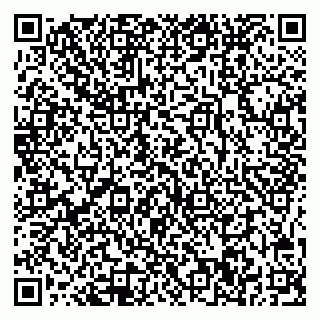 vCard 78005500271