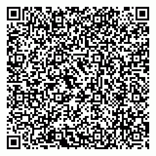 vCard 78005500294