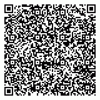 vCard 78005500295