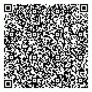 vCard 78005500313
