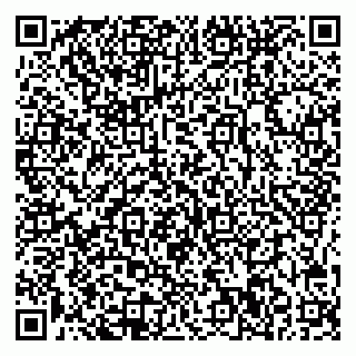 vCard 78005500333