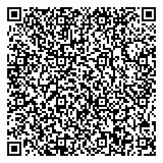 vCard 78005500339