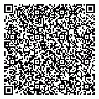 vCard 78005500373