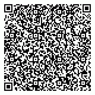 vCard 78005500376
