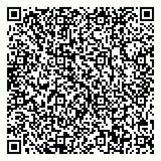 vCard 78005500379
