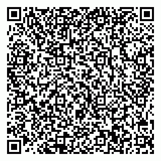 vCard 78005500381