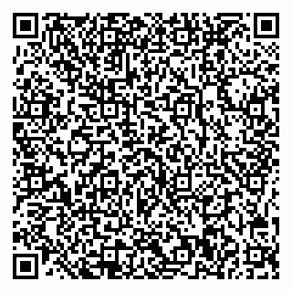 vCard 78005500382