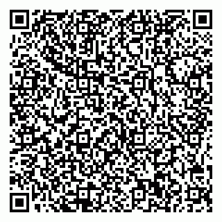 vCard 78005500384
