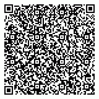 vCard 78005500385