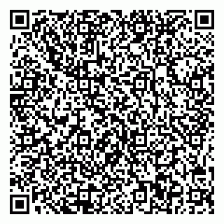vCard 78005500399