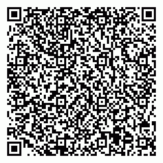 vCard 78006005539
